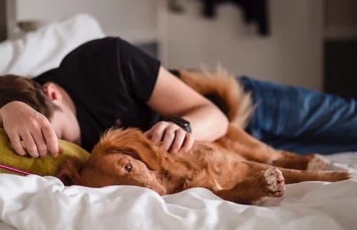 ベッドに横たわる人と犬
